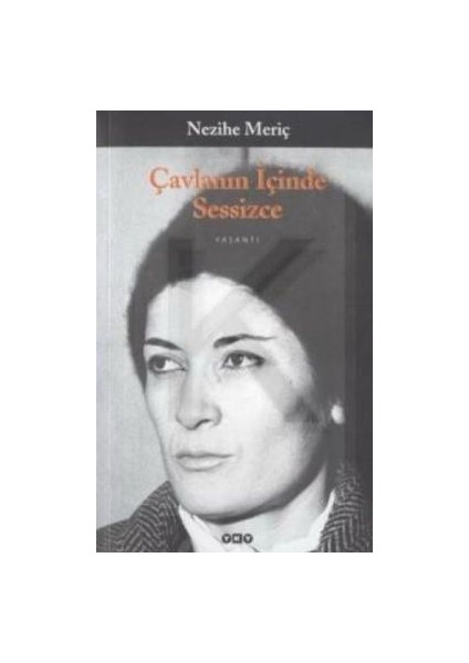Çavlanın Içinde Sessizce