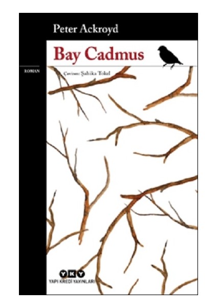 Bay Cadmus