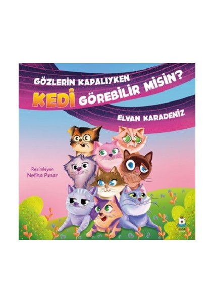 Gözlerin Kapalıyken Kedi Görebilir Misin?