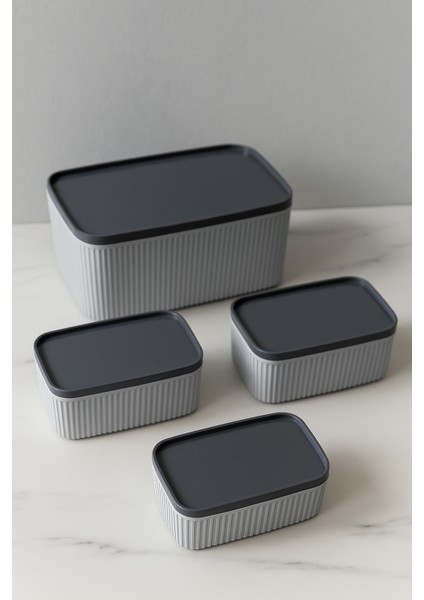 Dikdörtgen Saklama Kabı 4lü Multi Şık fiyatları