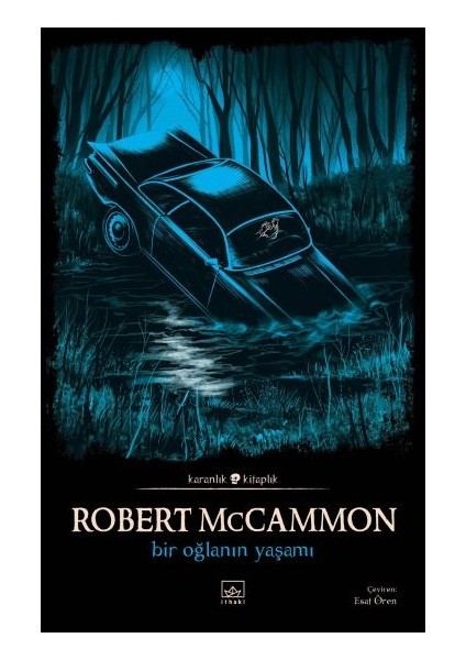 Bir Oğlanın Yaşamı