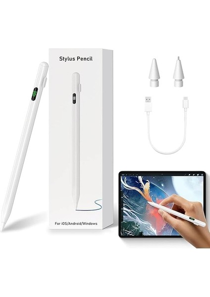 ZR61 Ios/android/windows Dokunmatik Ekran Için Pil Göstergeli, Magnetik, 2 Yedek Uçlu ve Type C Şarj Kablolu Stylus Dokunmatik Kalem modelleri