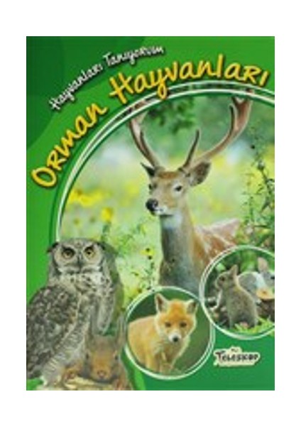 Hayvanları Tanıyorum - Orman Hayvanları