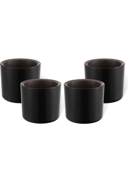 4 Adet Mimoza Saksı Küçük Boy Plastik Kaktüs Sukulent Saksısı (Siyah, 0.2 Litre)