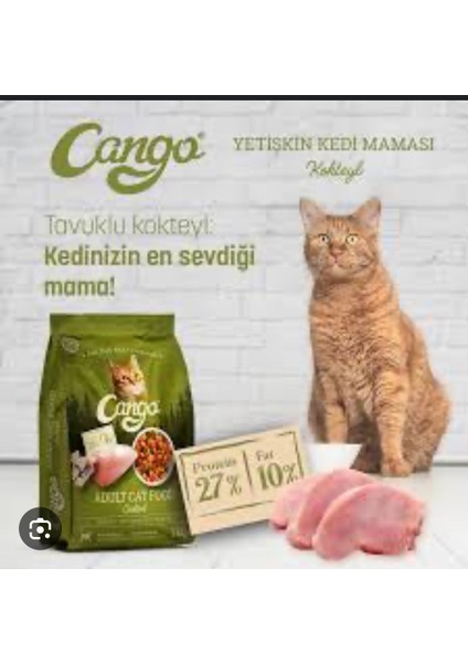 Kokteyl Yetişkin Kedi Maması modelleri