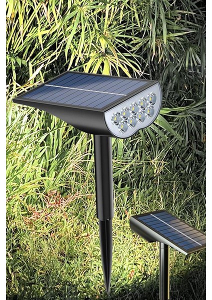 Enerjili Bahçe Aydınlatması, Duvar Bahçe Işıkları (Uzay Mekiği)