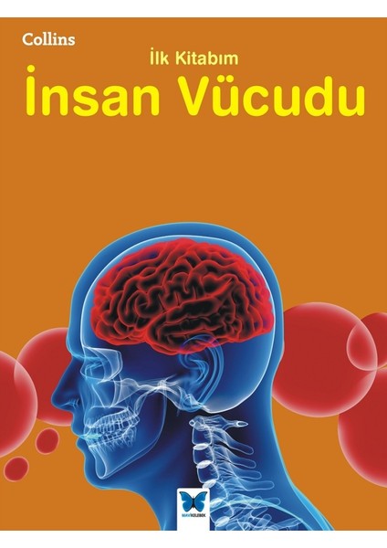 Collins Ilk Kitabım Insan Vücudu