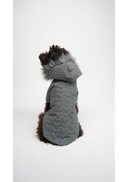 Köpek Kedi Heart Luxe Mont modelleri