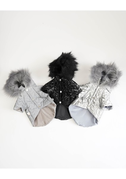 Köpek Kedi Heart Luxe Mont