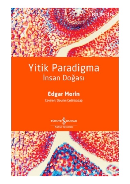 Yitik Paradigma – Insan Doğası