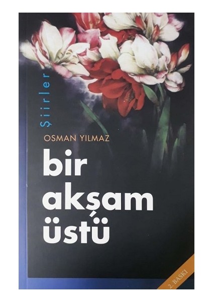Bir Akşam Üstü