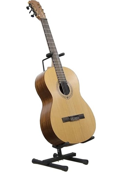 Carries Value... PRS02 Gitar Sehpası Standı (Siyah) modelleri