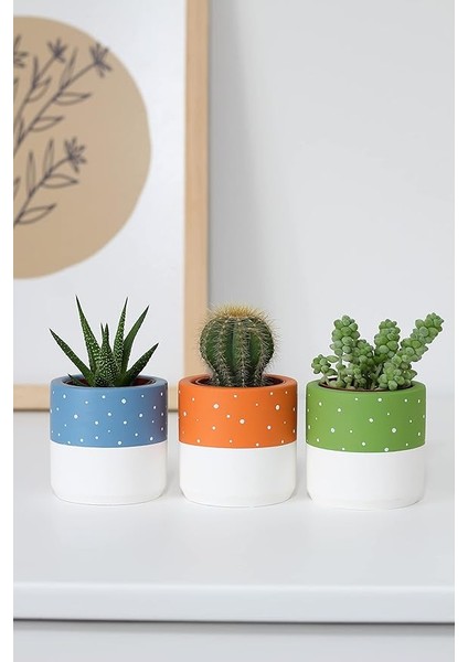 Beton Saksı Üçlü Set Küçük Boy Sukulent Saksısı (Turuncu)