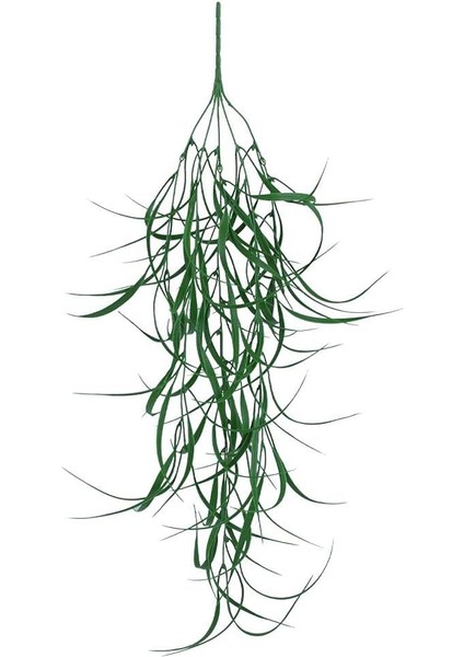 Sarkan Dikenli Yapay Yeşillik