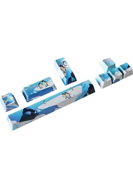 Talent Pbt Beş Taraflı Boya Altlı Klavye Tuşları 6.25 Boşluk Çubuğu Esc Entre Yön Tuşları Dıy Mekanik Klavye Için Profil Klavye Tuş Takımı, 8 (Yurt Dışından)