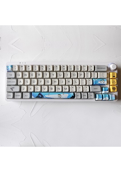 Talent Pbt Beş Taraflı Boya Altlı Klavye Tuşları 6.25 Boşluk Çubuğu Esc Entre Yön Tuşları Dıy Mekanik Klavye Için Profil Klavye Tuş Takımı, 8 (Yurt Dışından) fırsatları