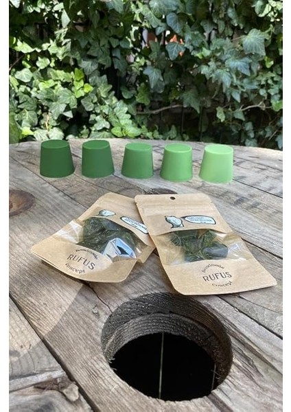 Concept Açık Yeşil Granül Mum Boyası (10 Gr) fiyatları