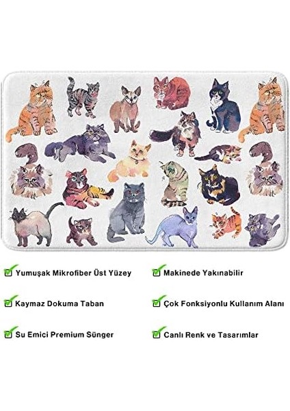 Sevimli Tasarımlı Mikrofiber Paspası, Kaymaz Taban, Yıkanabilir (380_BPSM, 2'li Takım 40X60_50X80) fiyatları