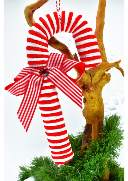 Parlak Paket Şeker Süs modelleri