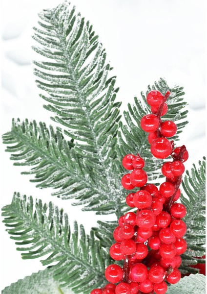 Yılbaşı 4lü Karlı Kokina Çiçeği modelleri