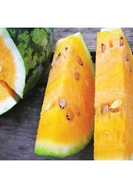 Adet Sweet Tendersweet Portakal Karpuz Tohumu fiyatları