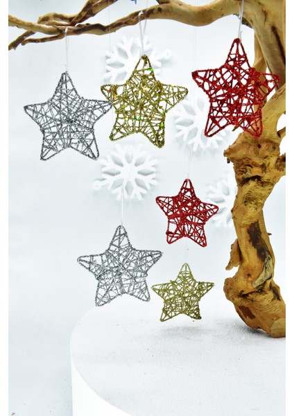 6lı Yıldız Süs Mix fiyatları