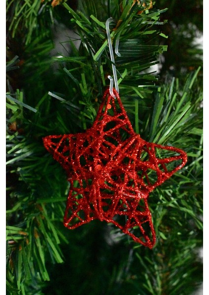 6lı Yıldız Süs Mix modelleri