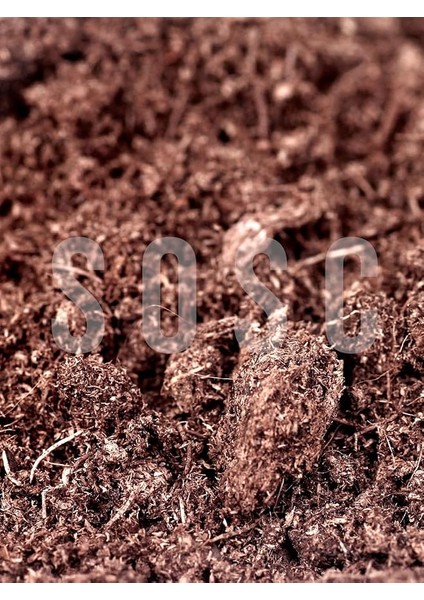 Sphagnum Bitki Yetiştirme Torfu - Böcek Sinek Yapmaz Premium Kalite 5 Lt