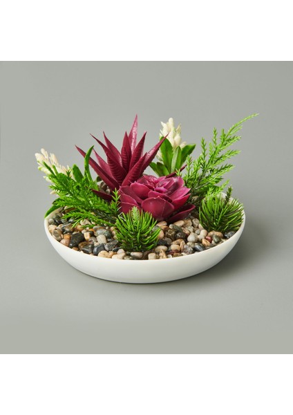 Dekor Aranjman Sukulent - Asorti - 15X10 cm