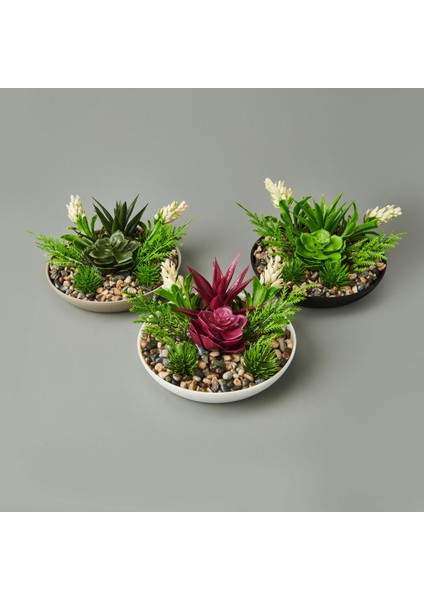 Dekor Aranjman Sukulent - Asorti - 15X10 cm modelleri