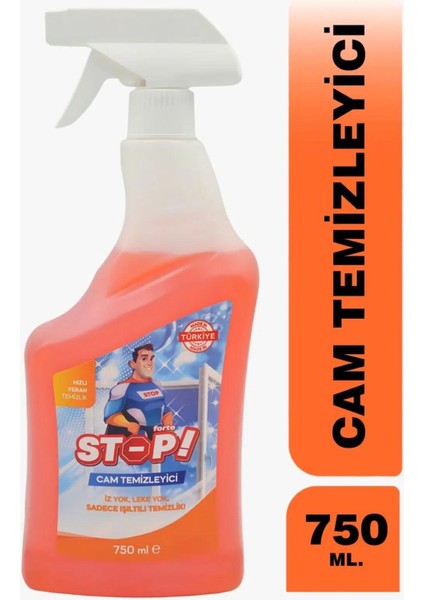 Cam Temizleyici Sprey 750 ml