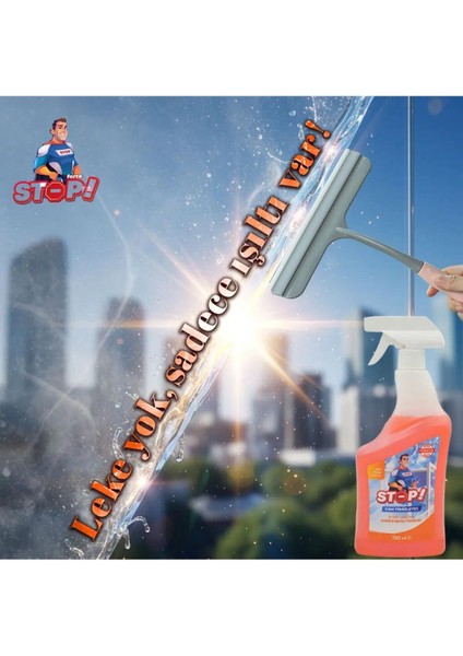 Cam Temizleyici Sprey 750 ml fiyatları