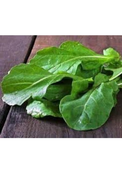 100 Adet Tohum Geleneksel Geniş Yaprak Tere Tohumu fiyatları