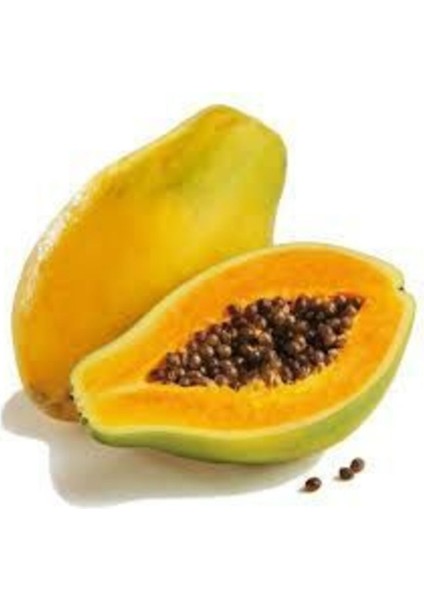 Papaya Ağacı Tohumu Ithal Tropikal Papaya Tohumu 3 Adet Tohum + Saksı Toprak