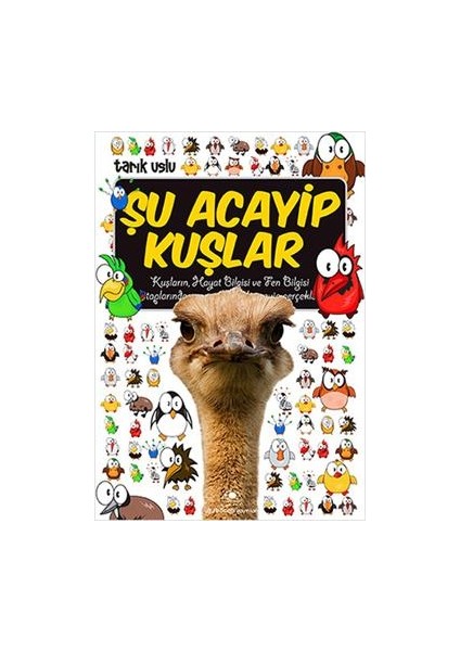 Şu Acayip Kuşlar