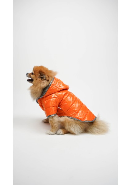 Köpek Kedi Parlak Kumaş Mont