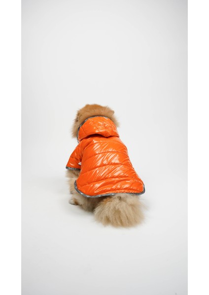 Köpek Kedi Parlak Kumaş Mont fiyatları