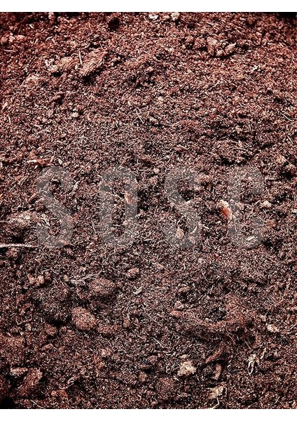 Sphagnum Bitki Yetiştirme Torfu - Böcek Sinek Yapmaz Premium Kalite 10 Lt fiyatları