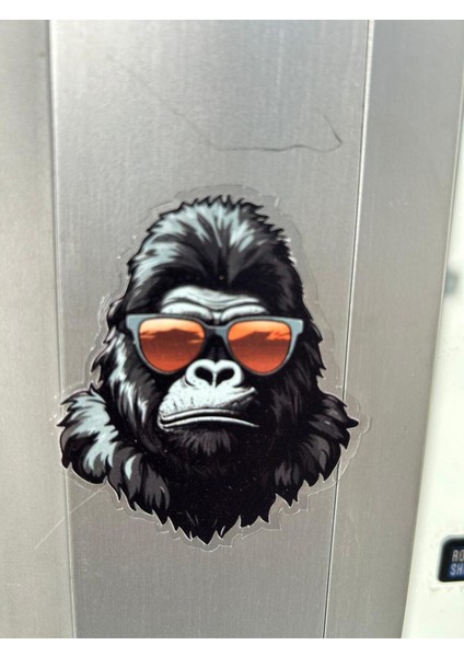 Stiker Bisiklet, Scooter, Motor, Laptop, Telefon Çıkartma Set Suya Dayanıklı Hayvan Temalı (3 Adet)