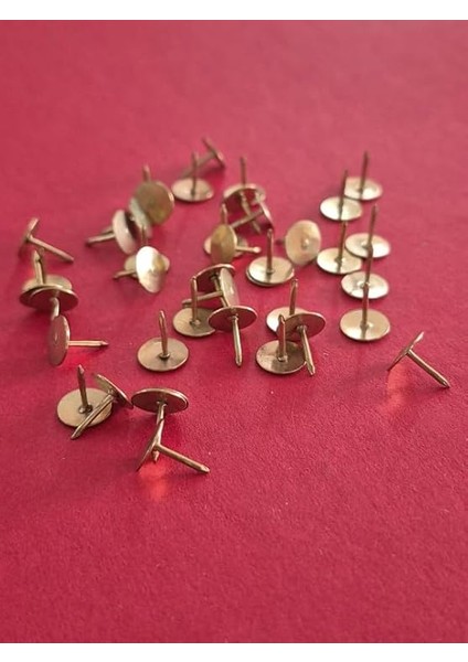 10 Kutu Raptiye Toplamda 400 Adet Raptiye modelleri