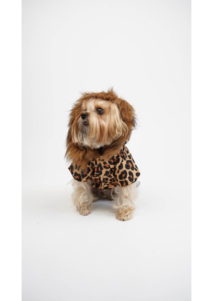 Kedi Köpek Leopar Mont