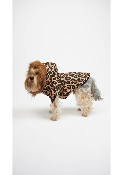 Kedi Köpek Leopar Mont fiyatları