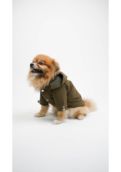 Kedi Köpek Yağmurluk Astra