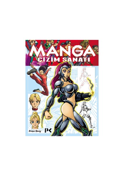 Manga Çizim Sanatı