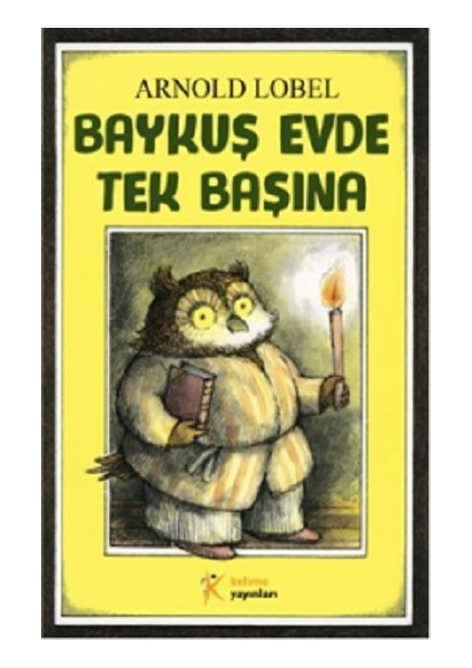 Baykuş Evde Tek Başına