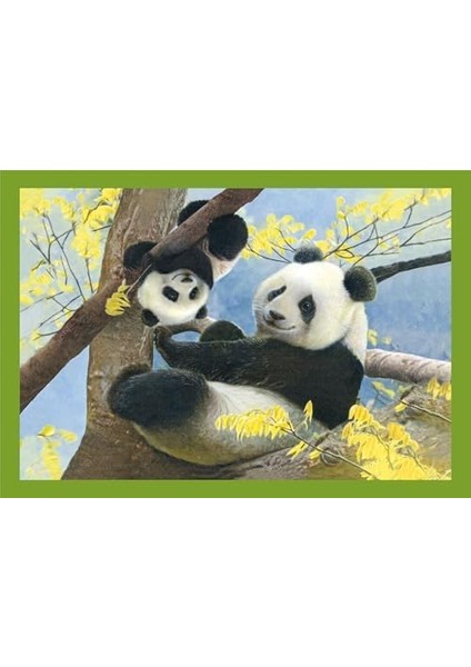 4W1 Super Kolor Baby Cuddles fiyatları