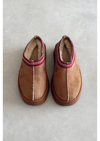 Fox Taba Kürklü Bot