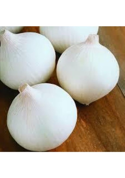 50 Adet Tohum Nadir Bulunan Beyaz Kışlık Kuru Soğan Tohumu Kuru Beyaz Soğan