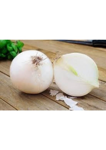 50 Adet Tohum Nadir Bulunan Beyaz Kışlık Kuru Soğan Tohumu Kuru Beyaz Soğan modelleri