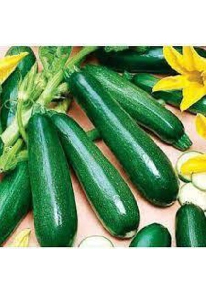 75 Adet Tohum Eko Paket Kara Kolsuz Kabak Tohumu Lezzetli Kabak Sürpriz